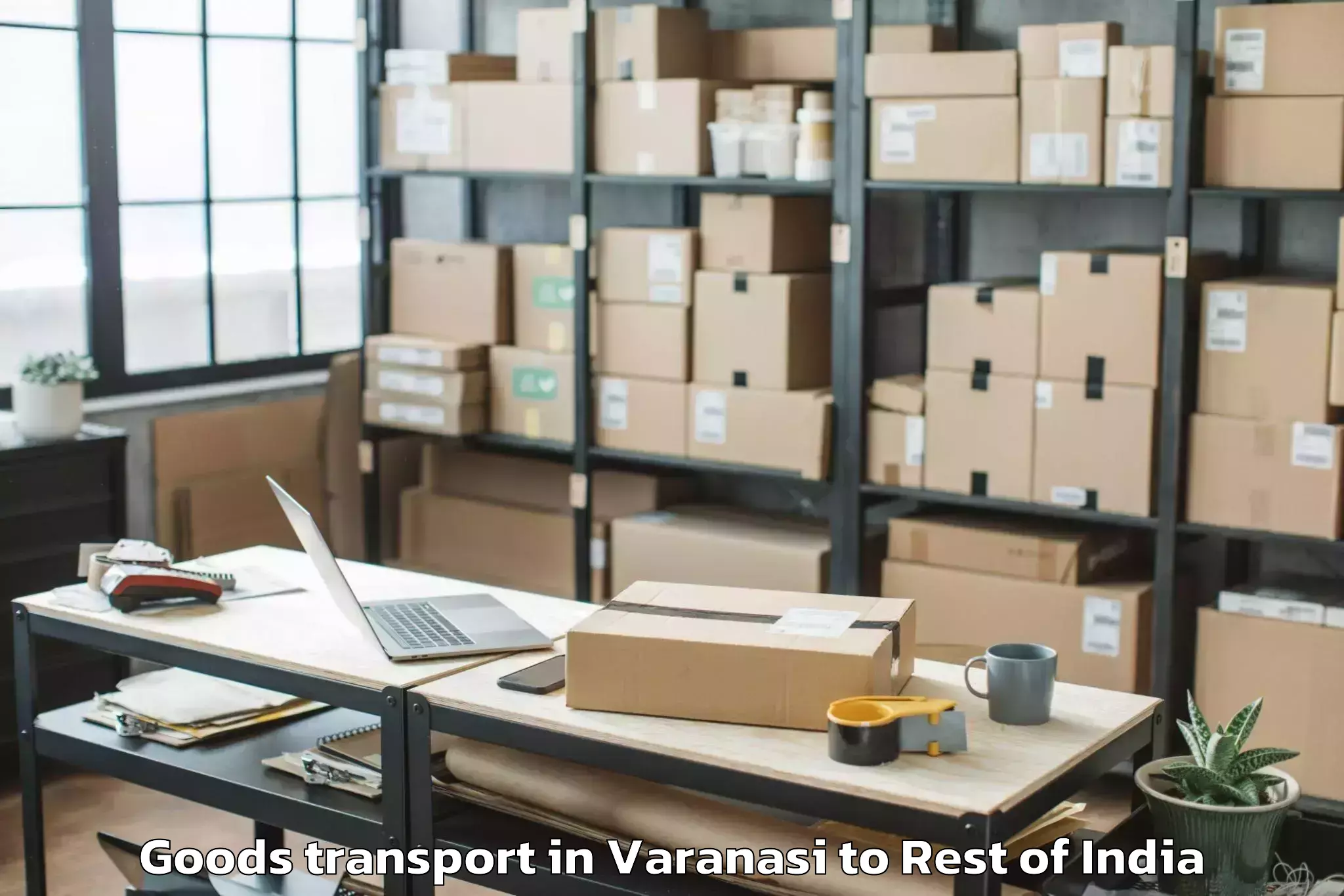 Leading Varanasi to Avudaiyarkoil Goods Transport Provider